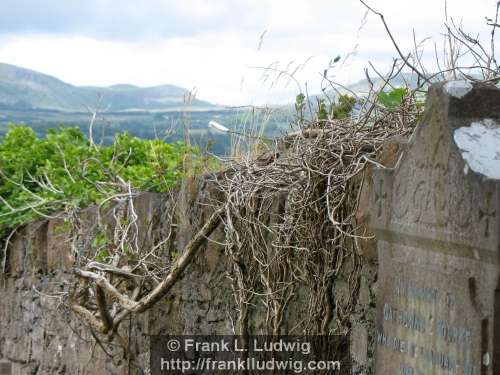 Sligo Cemetery